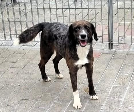 CASPER DOLCISSIMO CERCA CASA Foto 2